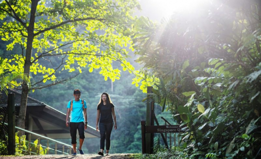 2 people walking in the Singapore forest